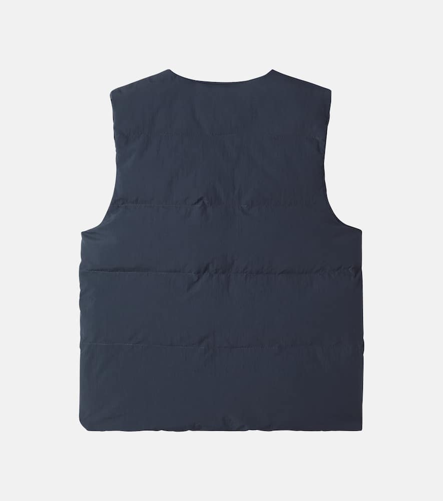 Dimri vest