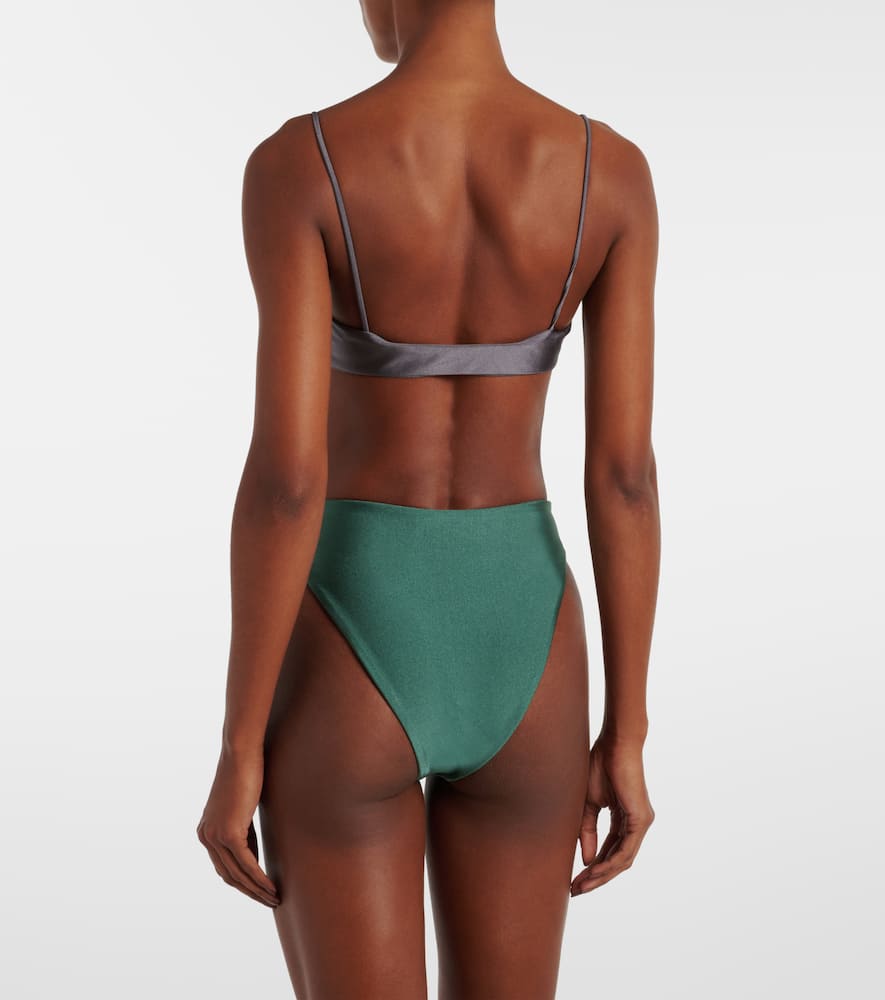 Hunter bikini bottoms