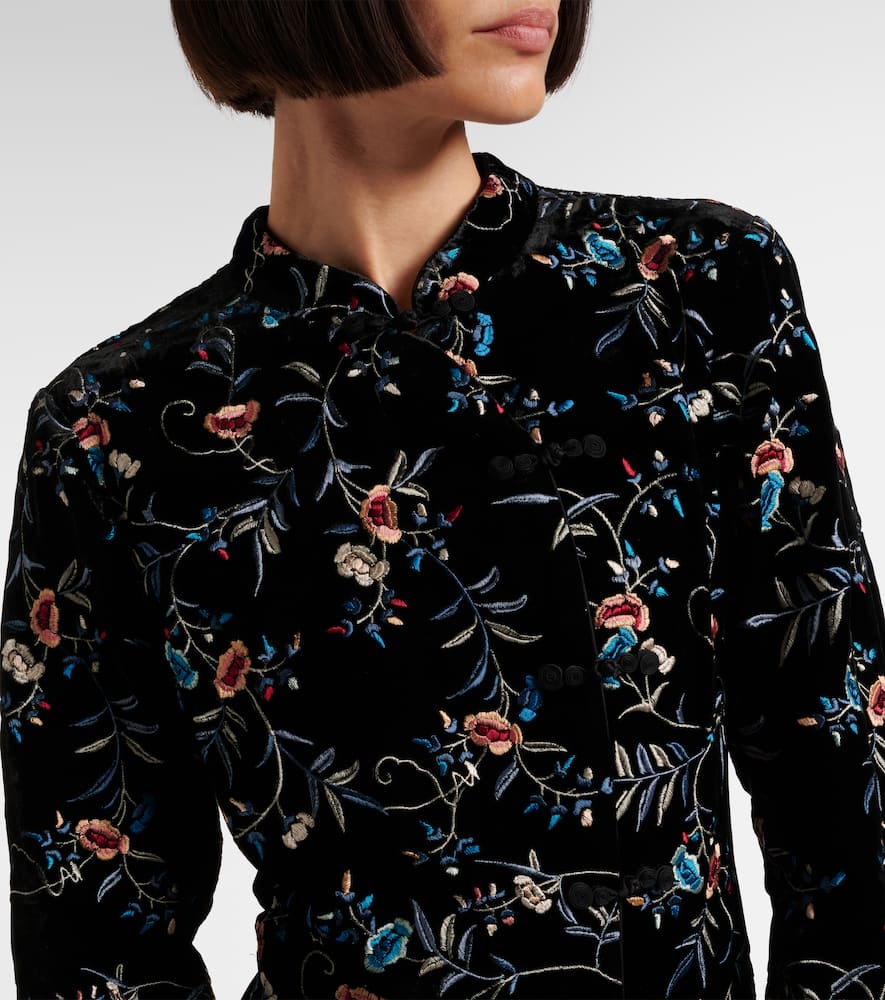 Delphina embroidered velvet minidress