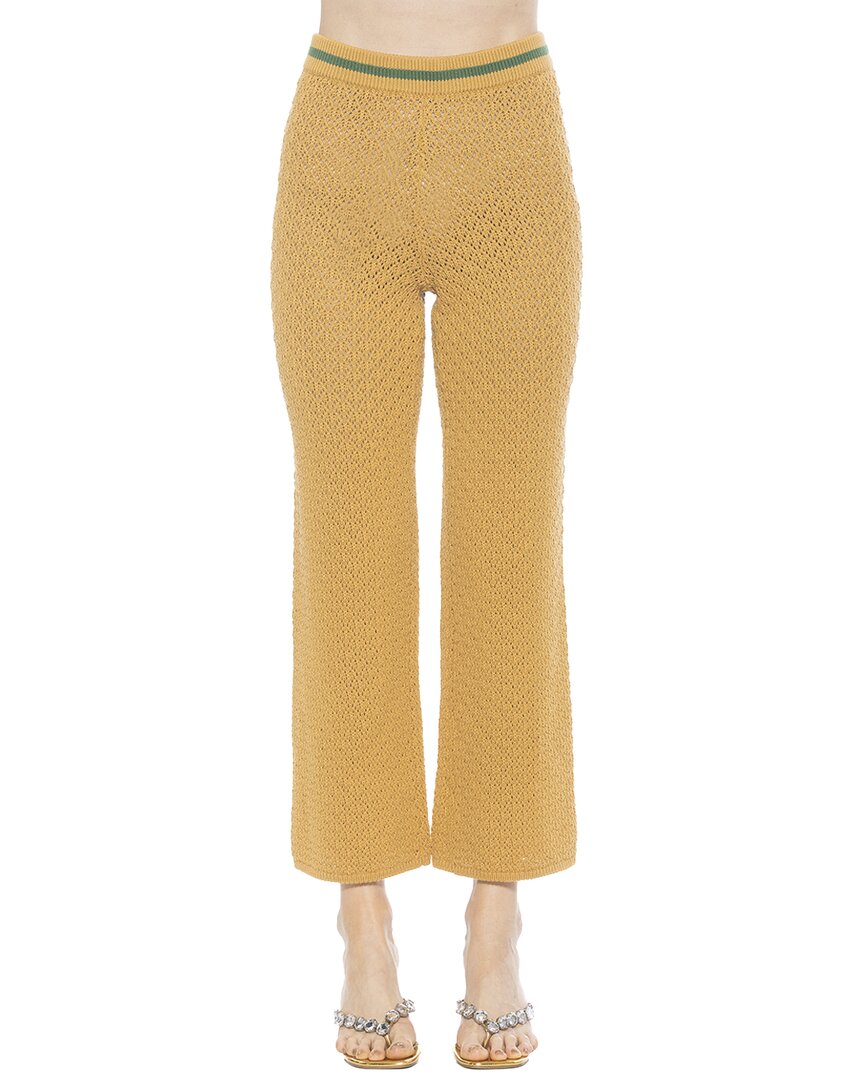 Kora Knit Pants
