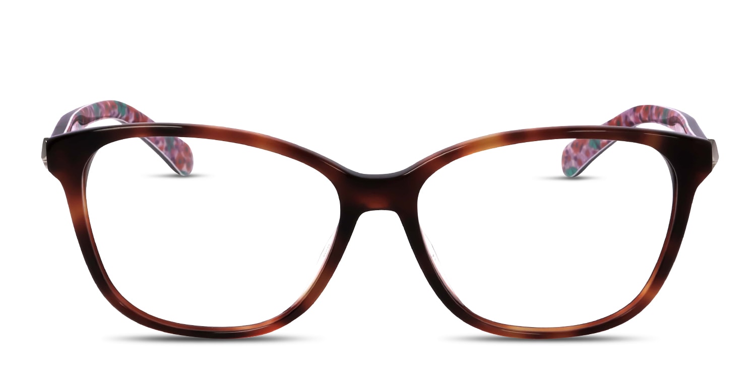 Londyn/F Tortoise