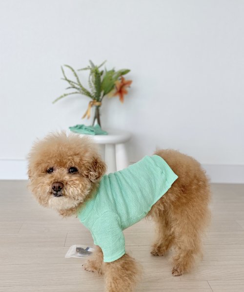 Plum T-shirt Mint 