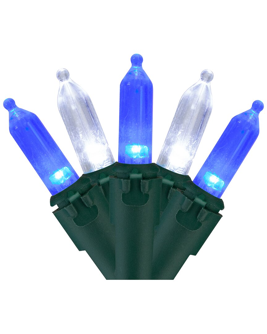 Northlight Set of 100 Blue & Pure White LED Mini Christmas Lights 4in Spacing  - Green Wire