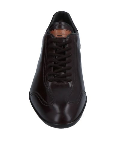 Man Sneakers Dark brown