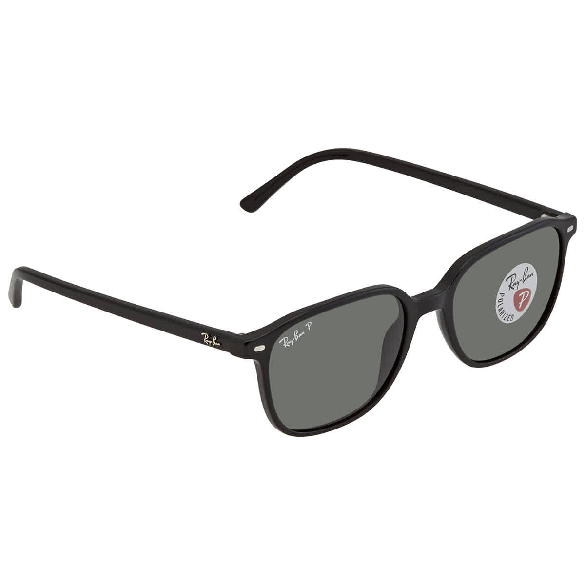 Leonard Polarized Green Sport Unisex Sunglasses RB2193 901/58