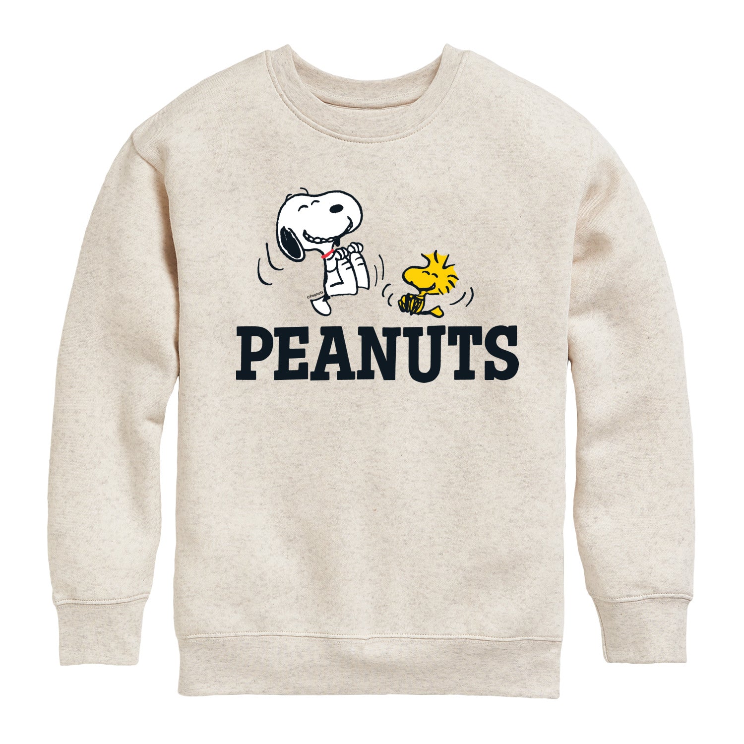 Snoopy And Woodstock