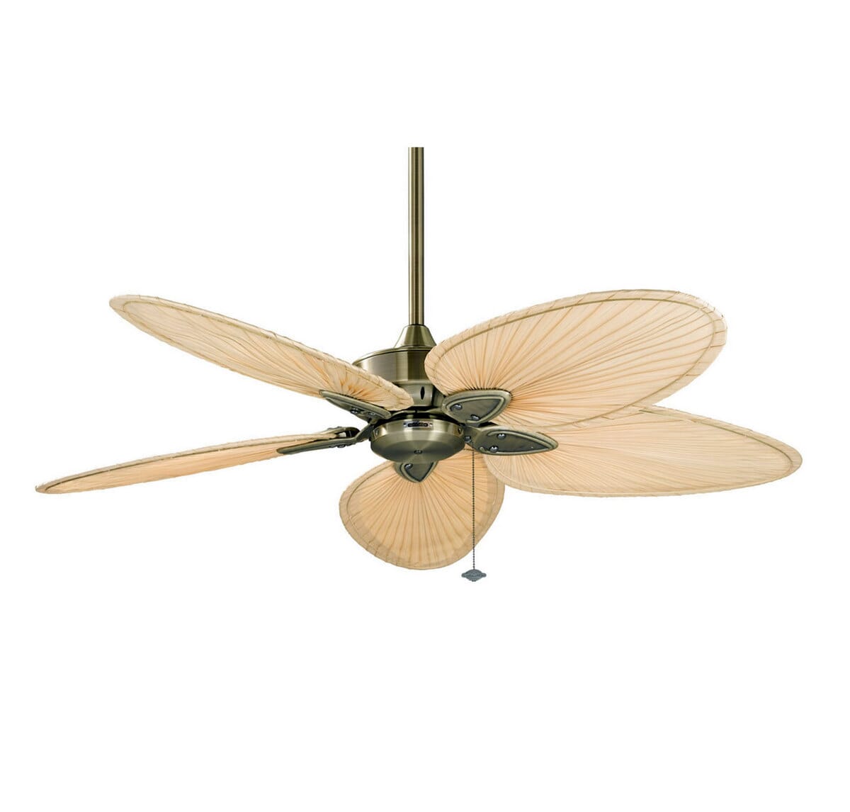 Fanimation 52" Windpointe Indoor Ceiling Fan in Brass w/Palm Blade
