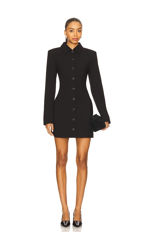 Lovers and Friends Anja Mini Dress in Black.  XS also in L, M, S