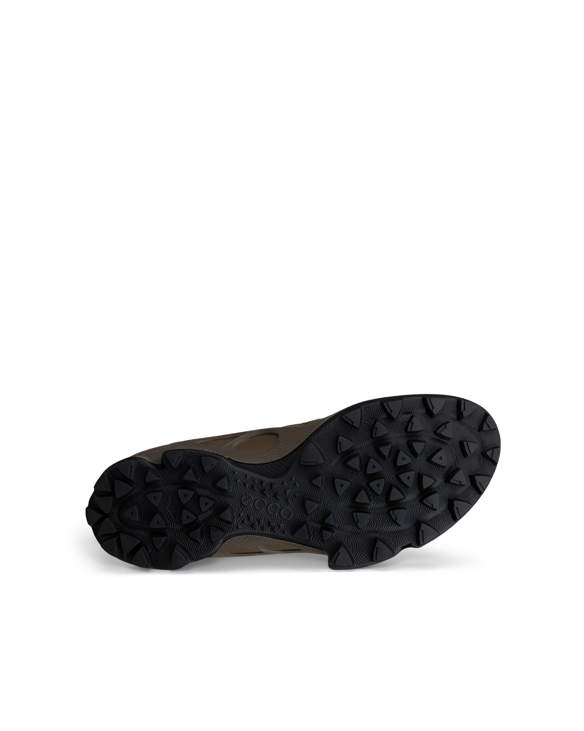 BIOM C-TRAIL - Men's Textile Gore-Tex Trainer - Brown - 39