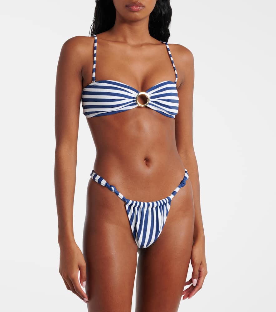 Rose striped bikini bottoms