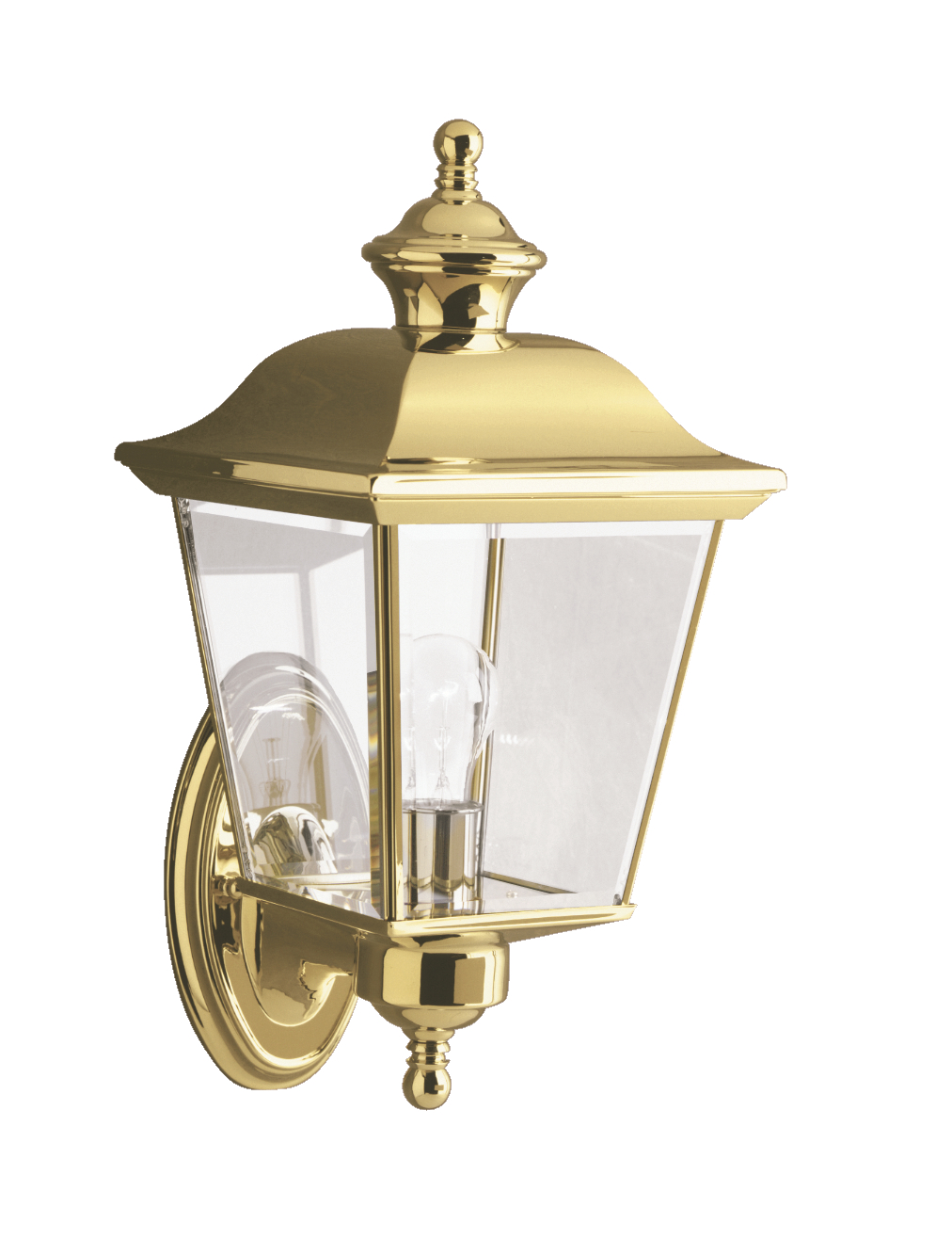 Bay Shore 1-Light 15.5" Outdoor Medium Wall in Polished Bra