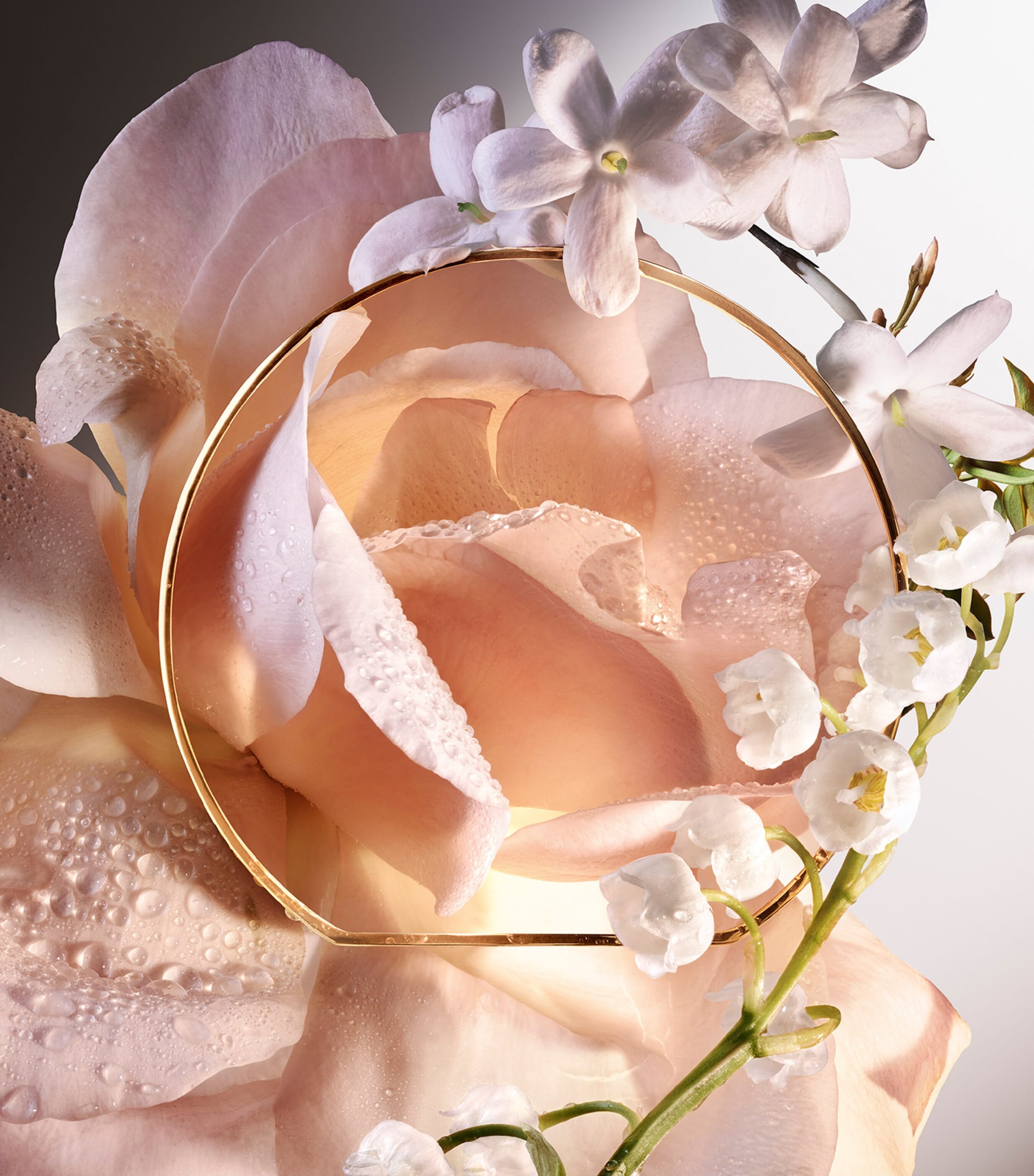 Absolue 6AM Rose Eau de Parfum