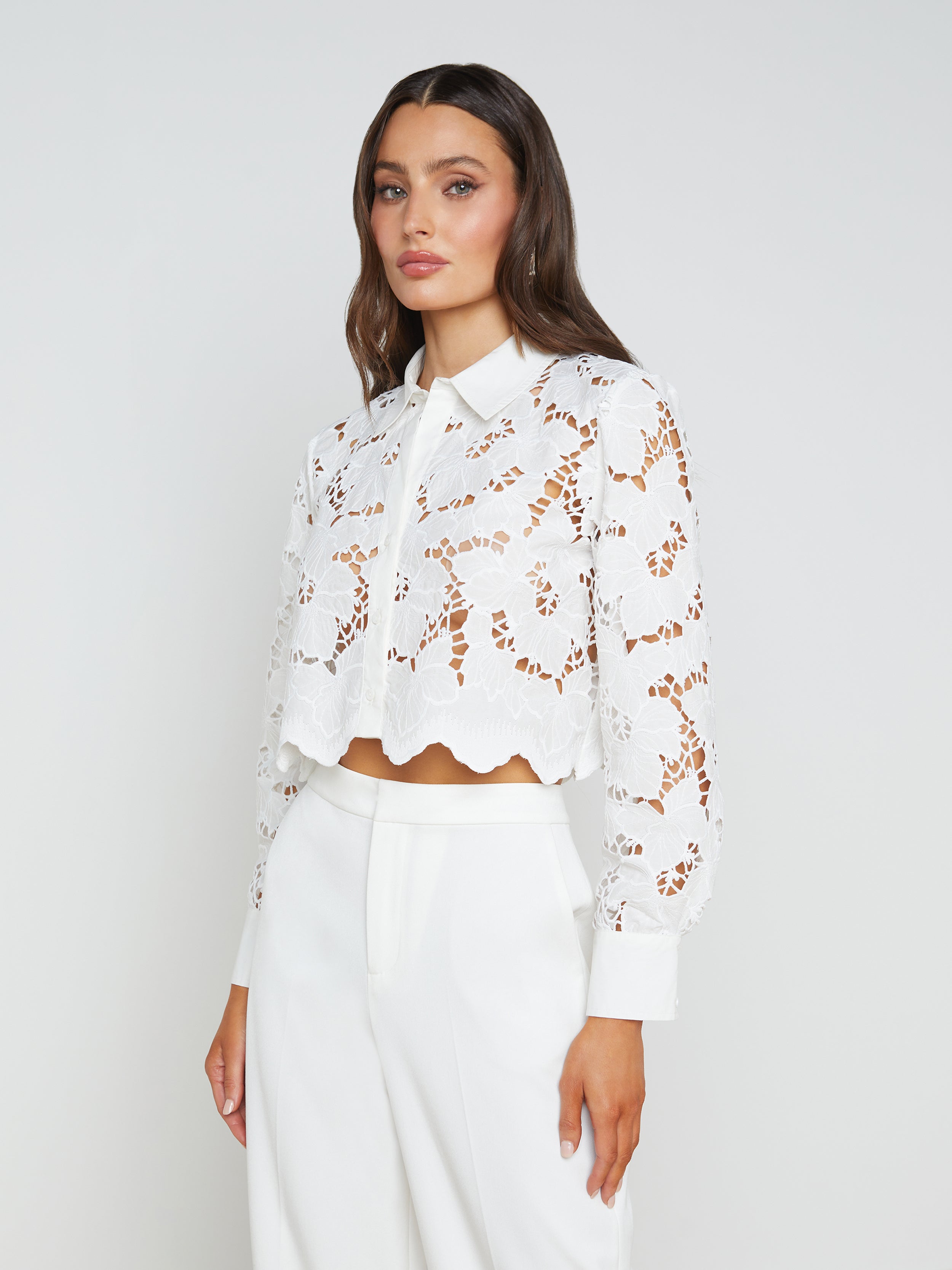 Seychelle Lace Cropped Blouse Top In White
