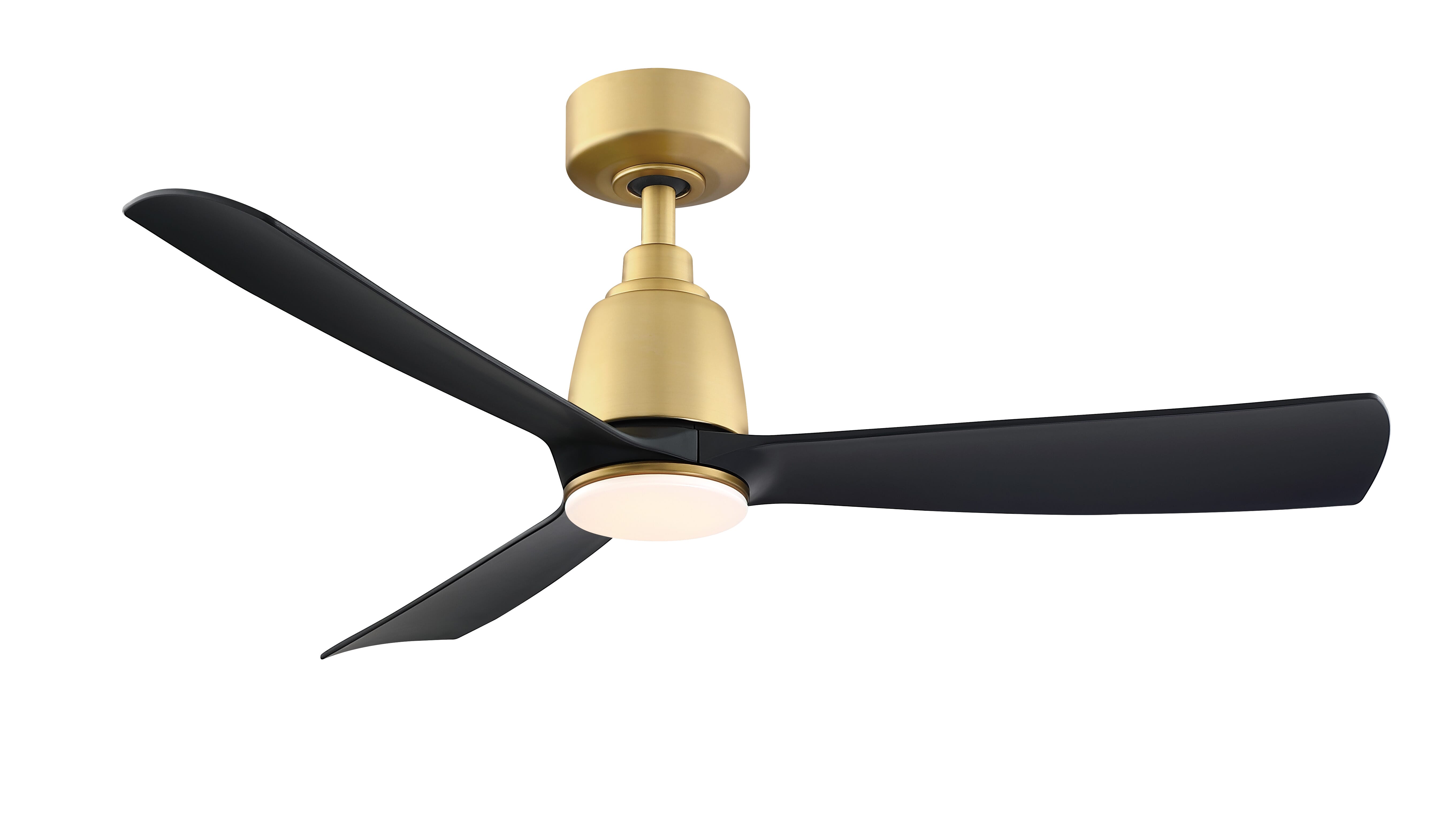 Fanimation Kute 44" Indoor Ceiling Fan in Brushed Satin Bra