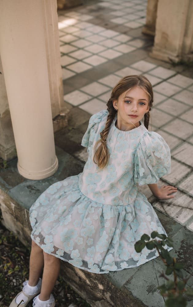 Petite Amalie Embroidered tulle dress