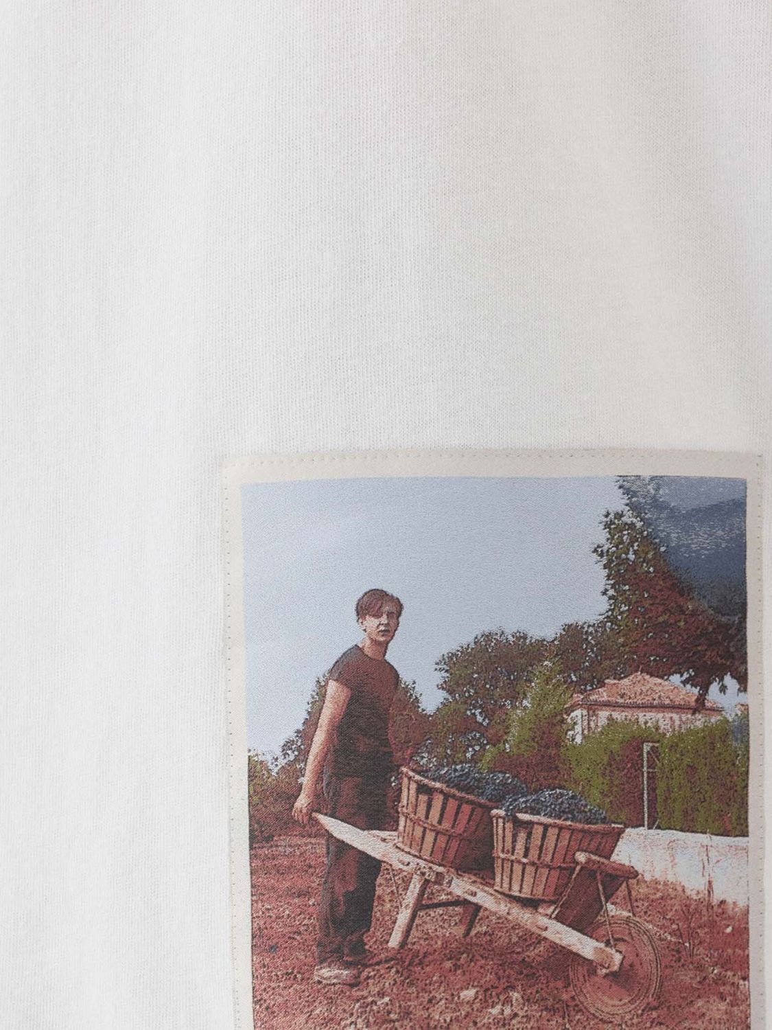 T-Shirt Men color White