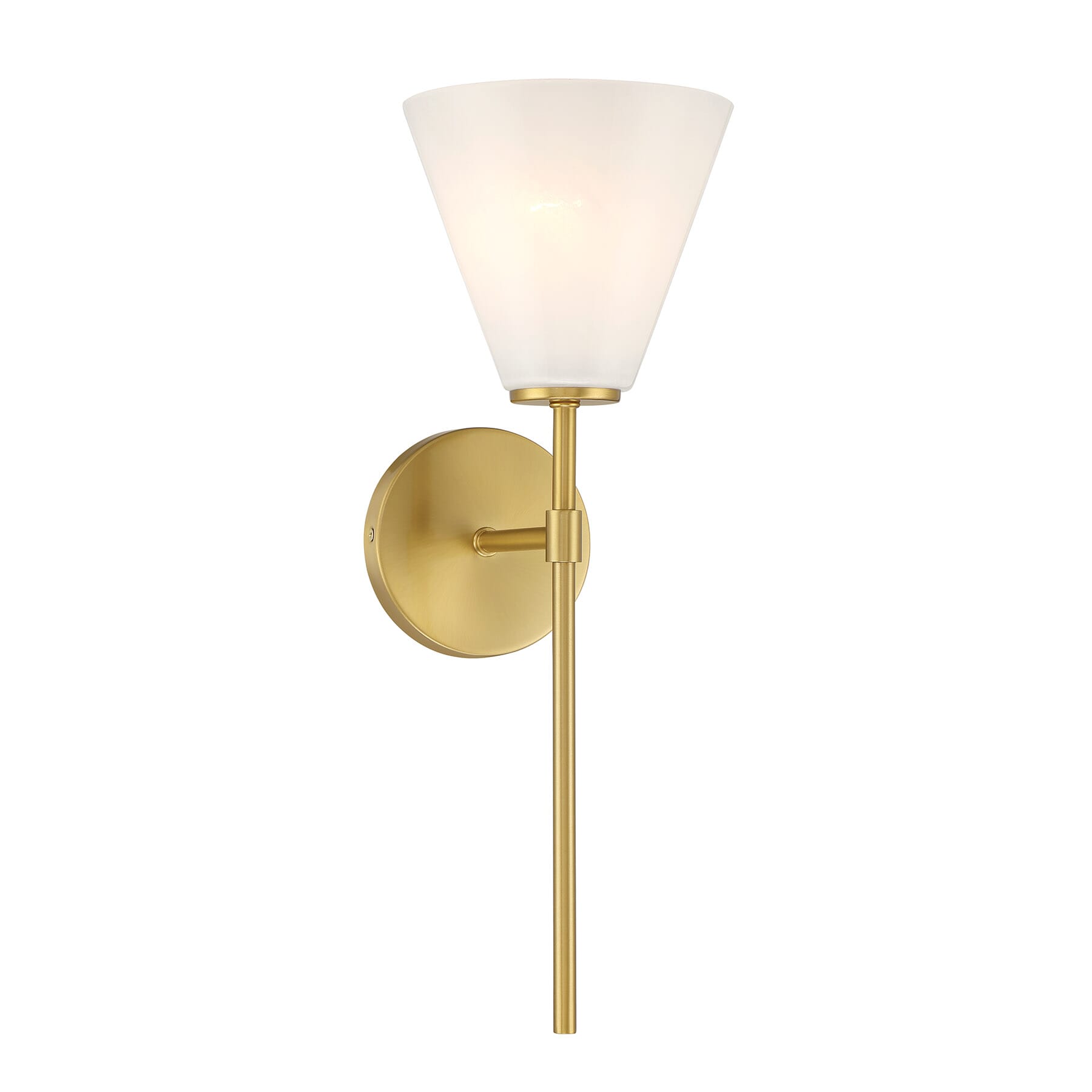 Blair 1-Light Wall Sconce in Warm Bra