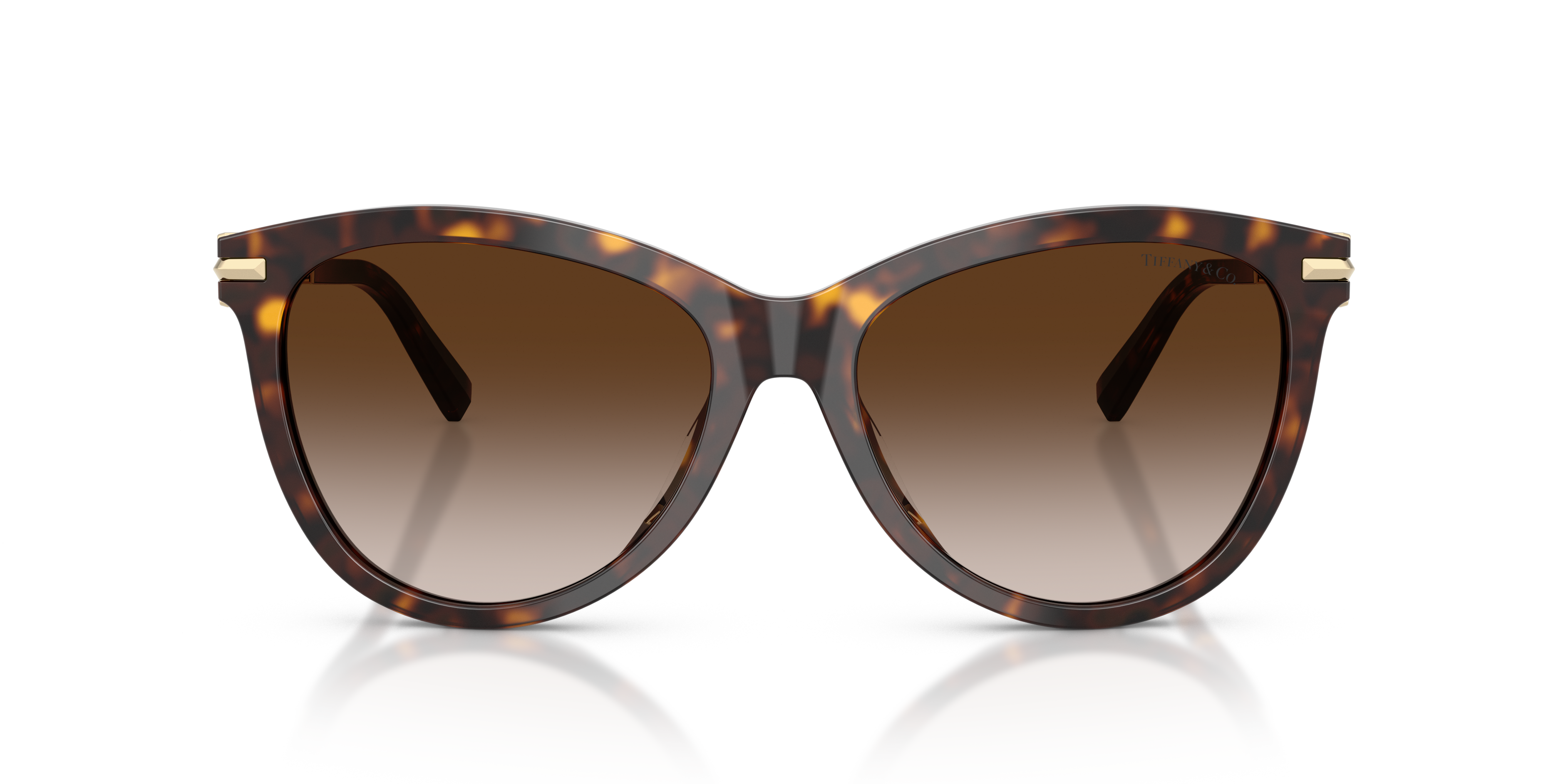 Tiffany Donna Tiffany TF4258BU 80153B Occhiali da sole Acetato Tartaruga Marrone Pantos Normale Sfumato