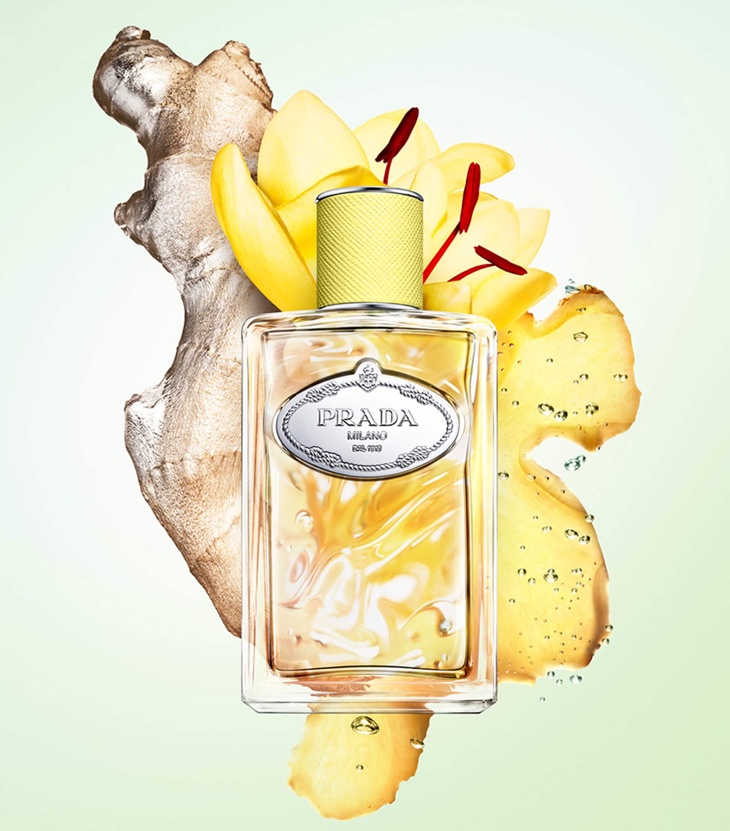 Infusions de Gingembre Eau de Parfum