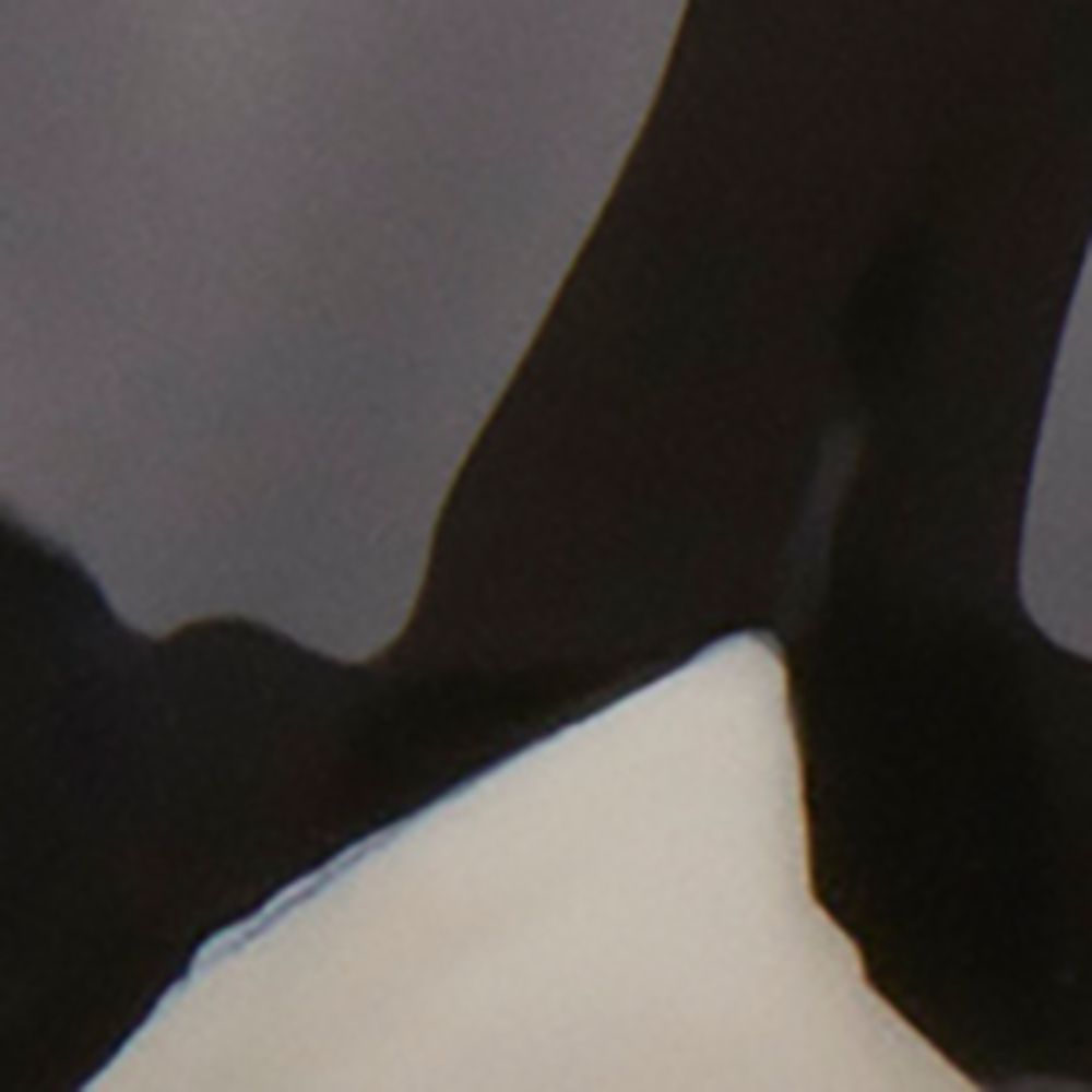 Swimming Penguin Dice Charm