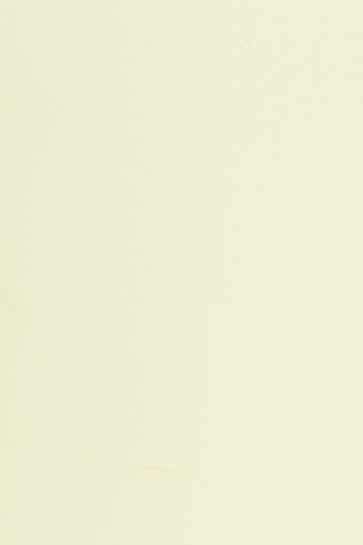 Sleek Crossover T-Shirt - Yellow - Women Clothing