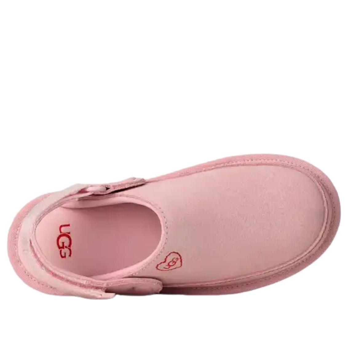 (GS) Goldenstar Love Clog '26 'Rosetta'