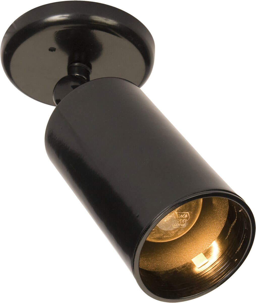 Spots Flush Mount in Black Finish