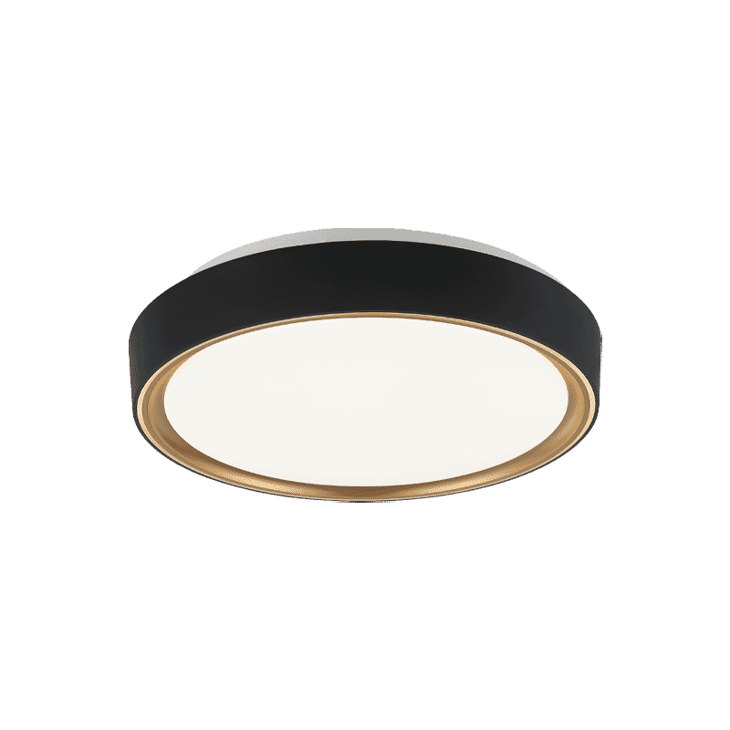 Matteo Alamus 1-Light Ceiling Light In Aged Gold Brass With Matte Black