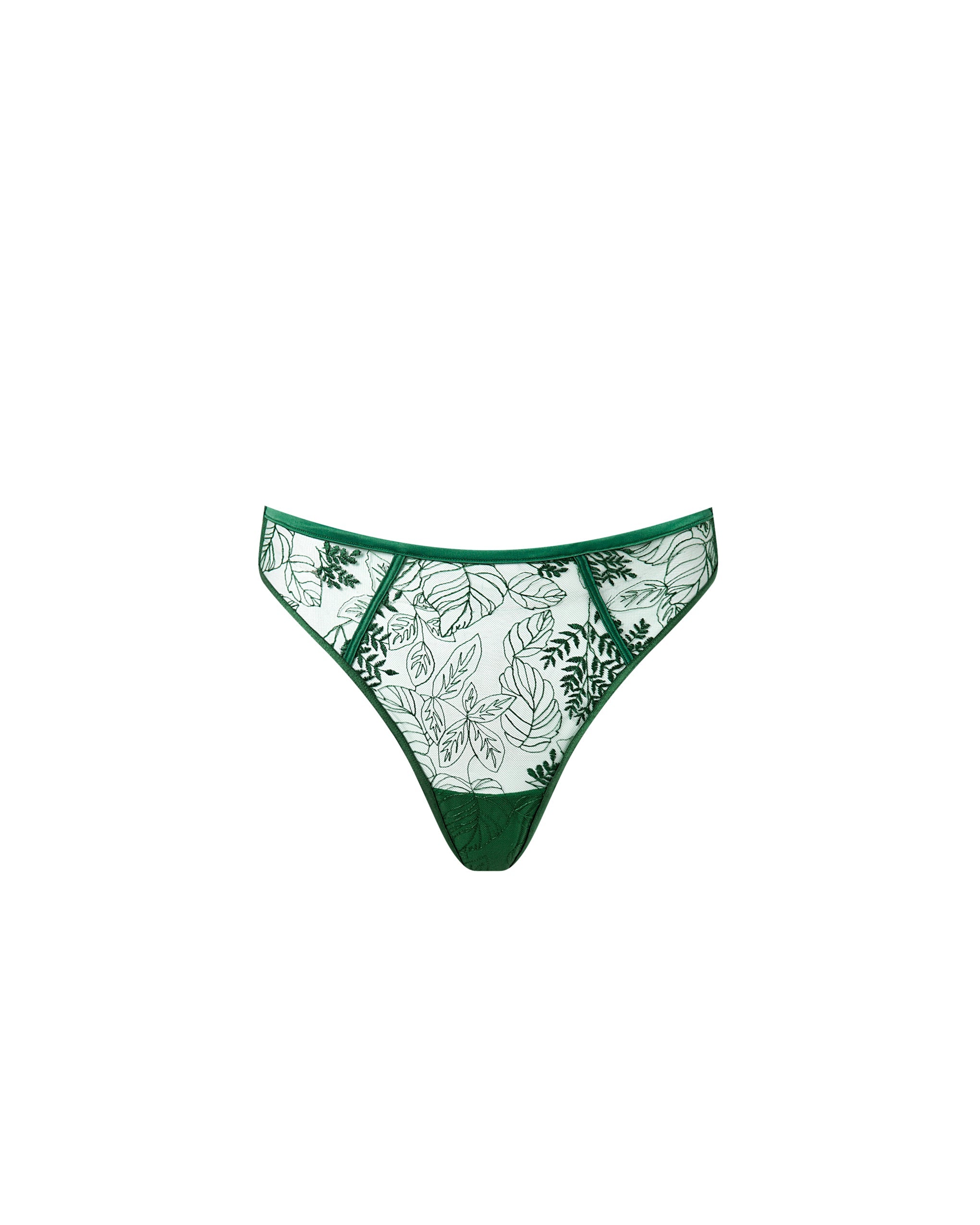 Bluebella Seraphim Sheer High-Waist Thong Green