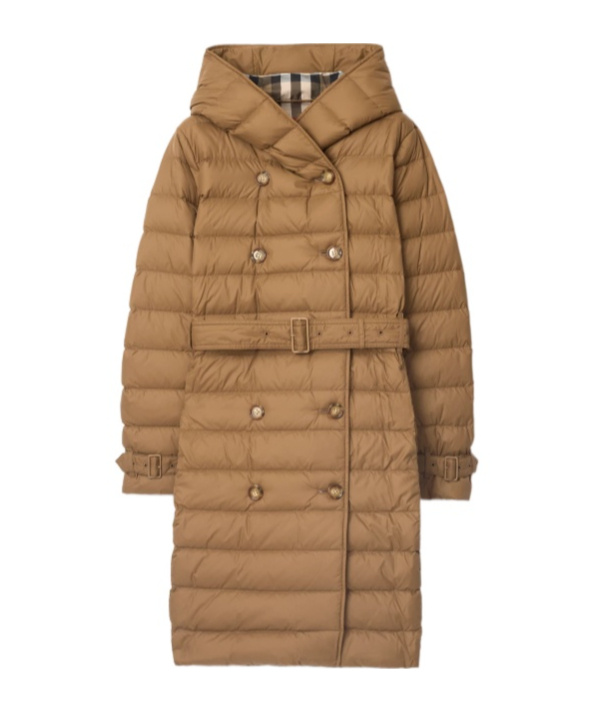Long Nylon Hooded Puffer Coat