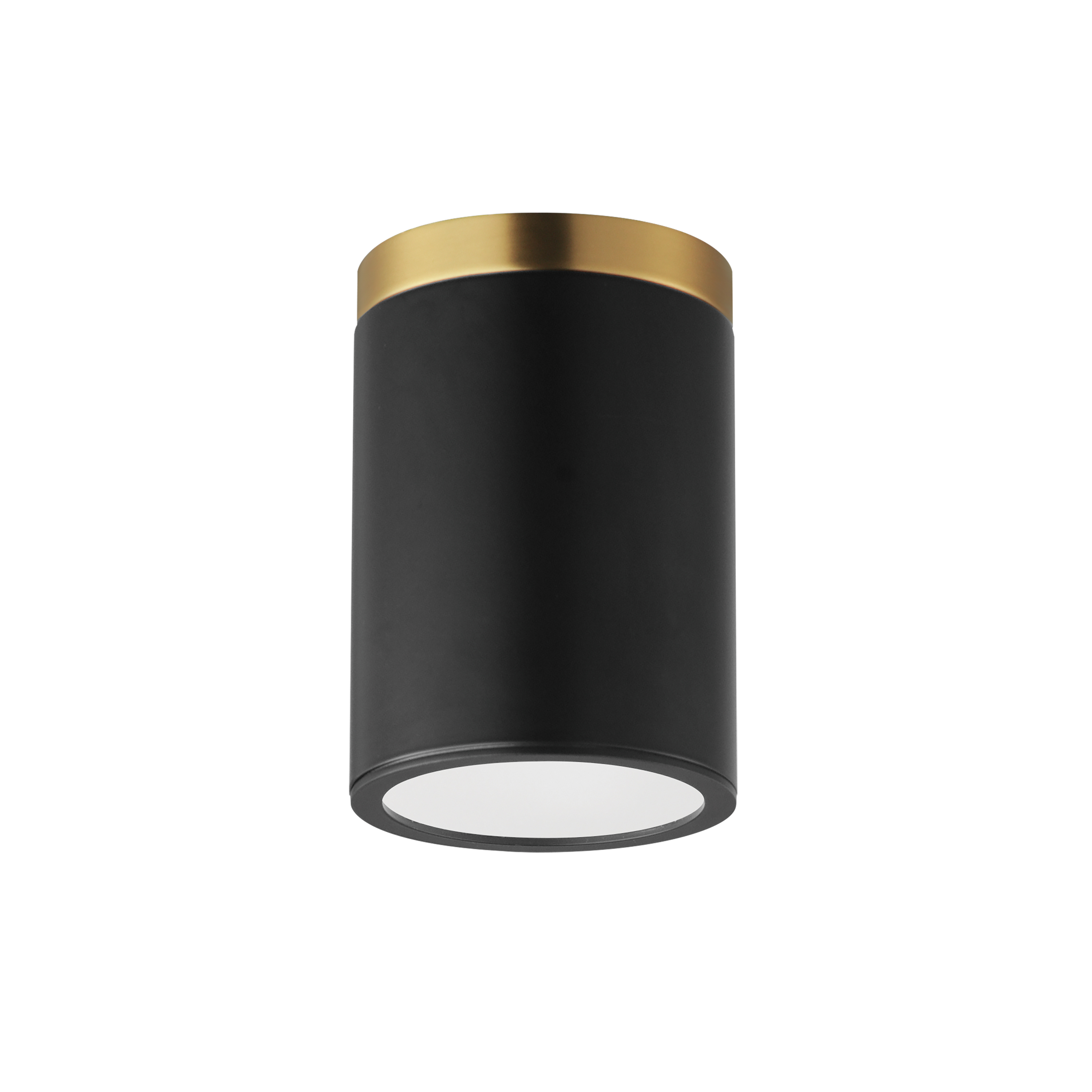 Black Antique Brass Flush Mount from the Dapper Collection