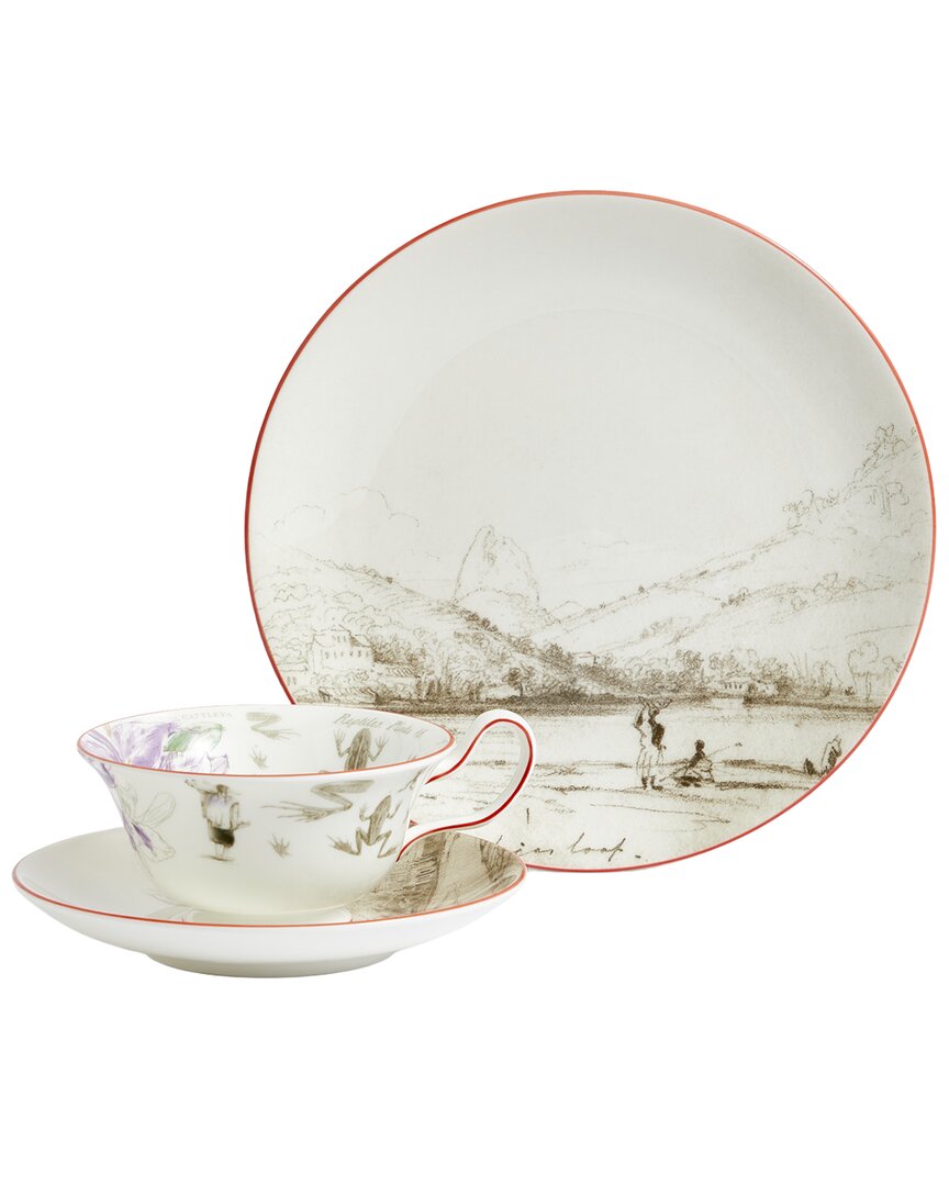 3Pc Darwin Voyage Of The Beagle Brazil Teacup, Saucer & Plate Set
