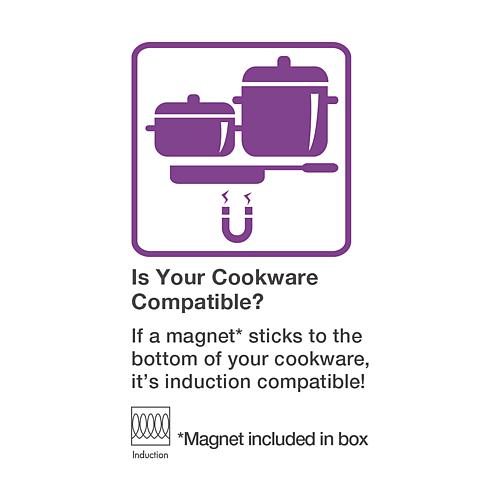 Portable Induction Cooktop