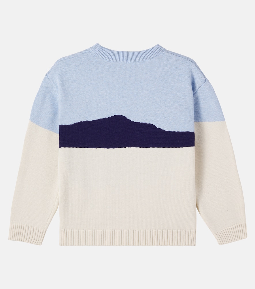 Cotton and cashmere jacquard sweater