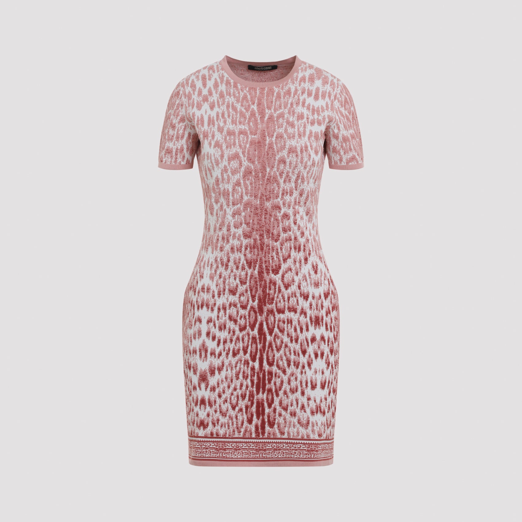Jaguar Print Mini Dress