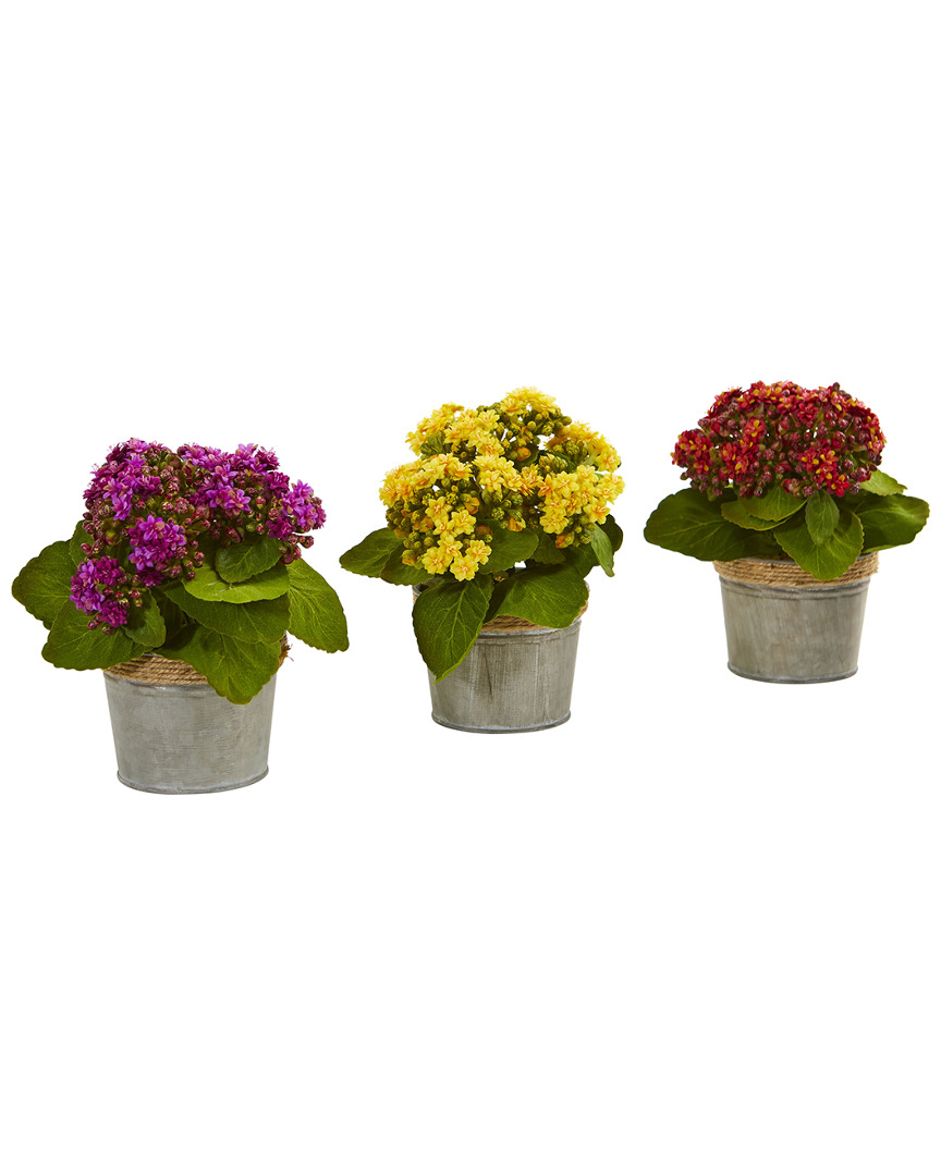 Set of 3 Kalanchoe Artificial Arrangements