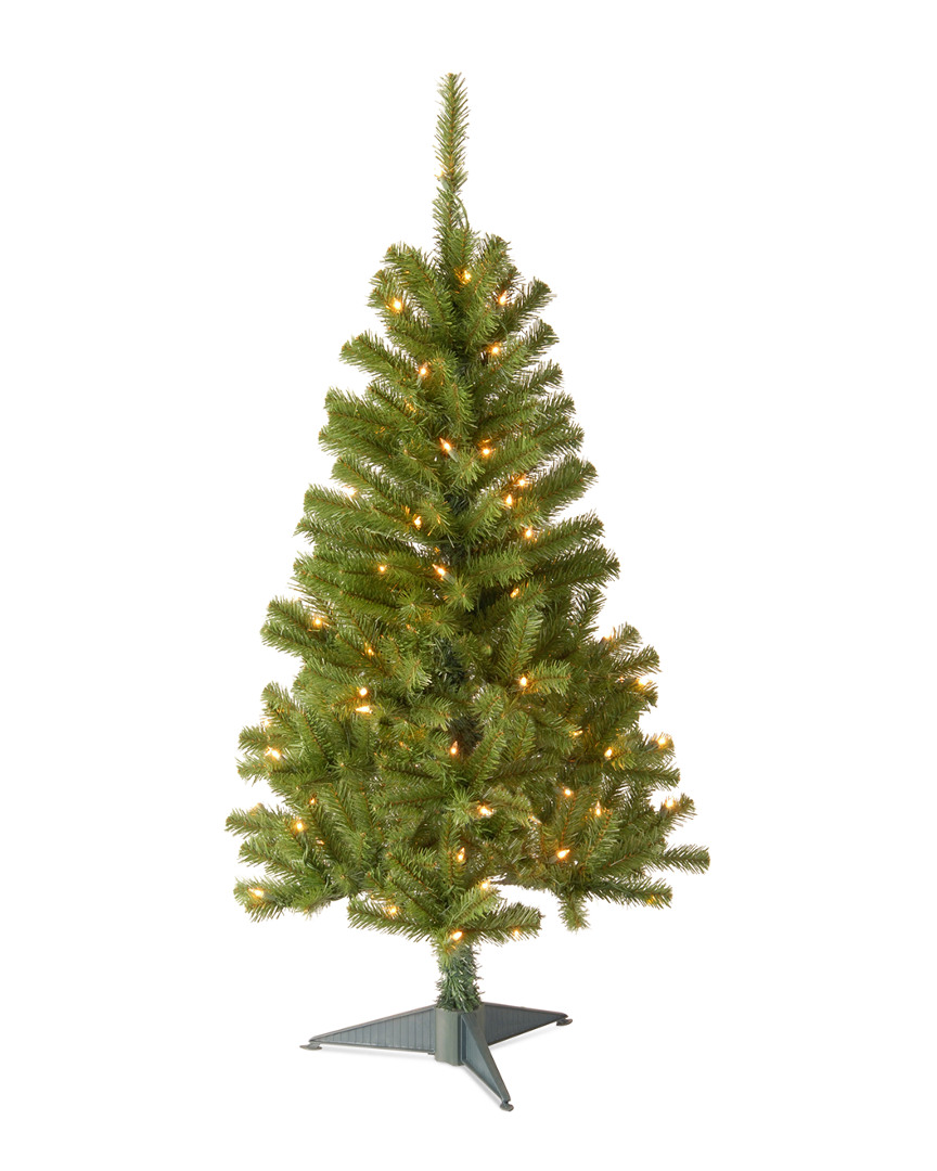 National Tree Company 4' Canadian Fir Grande Wrapped Tree with 100 Clear Lights
