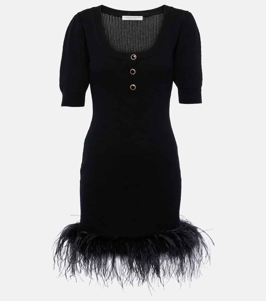 Feather-trimmed wool minidress
