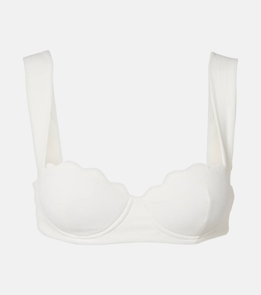 North scalloped bikini top