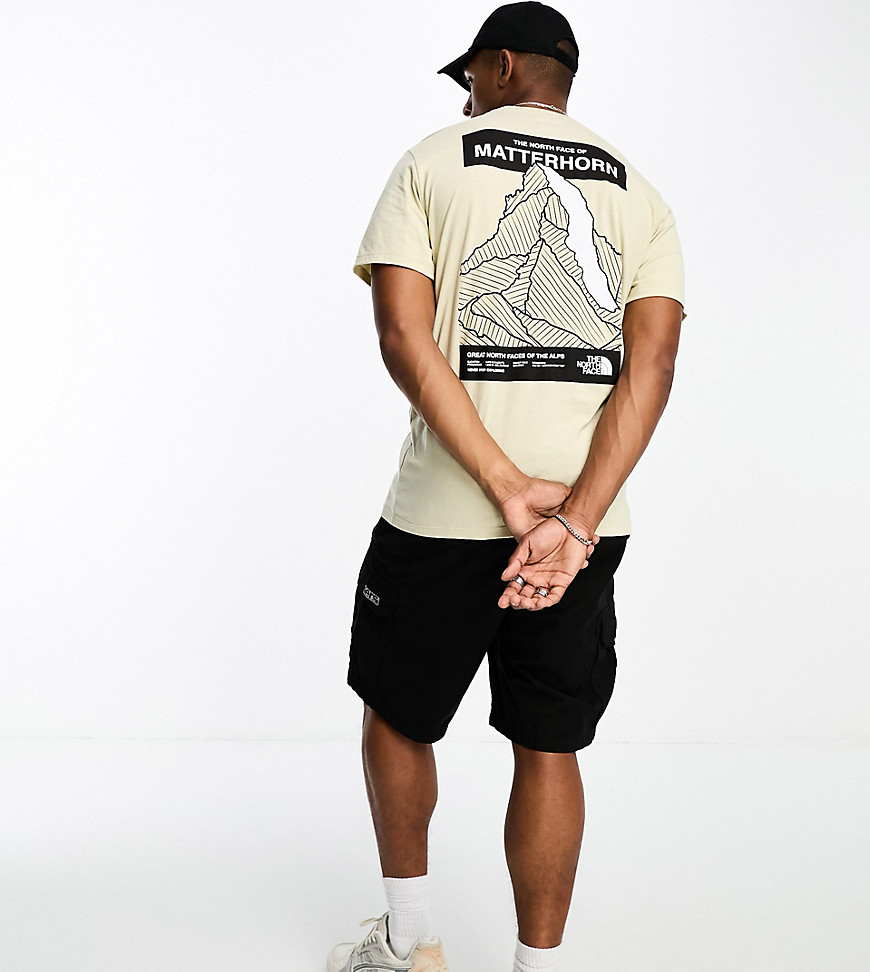 Matterhorn face T-shirt in beige - Exclusive to ASOS-Gray