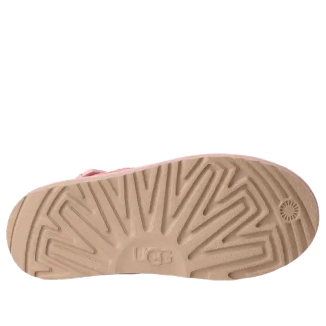 (GS) Goldenstar Love Clog '26 'Rosetta'