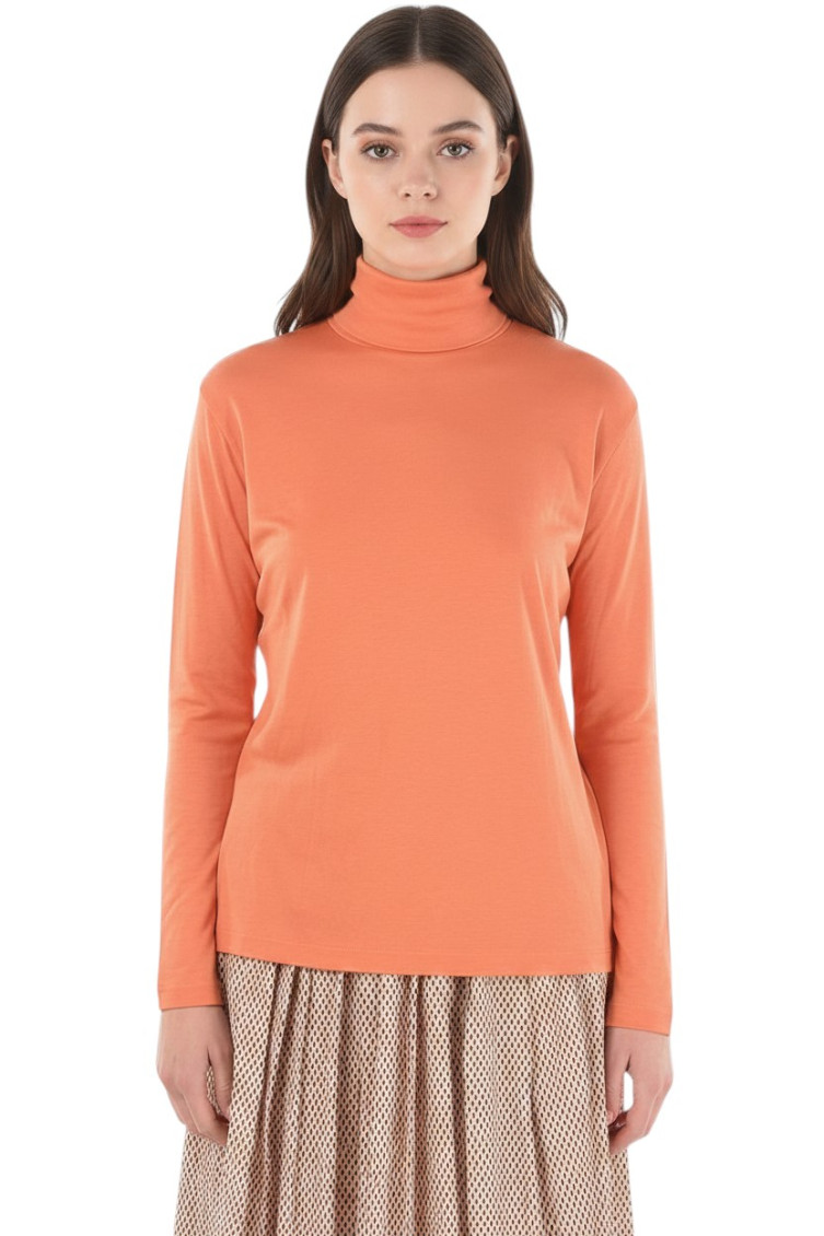 Orange Solid Turtle Neck Sweater