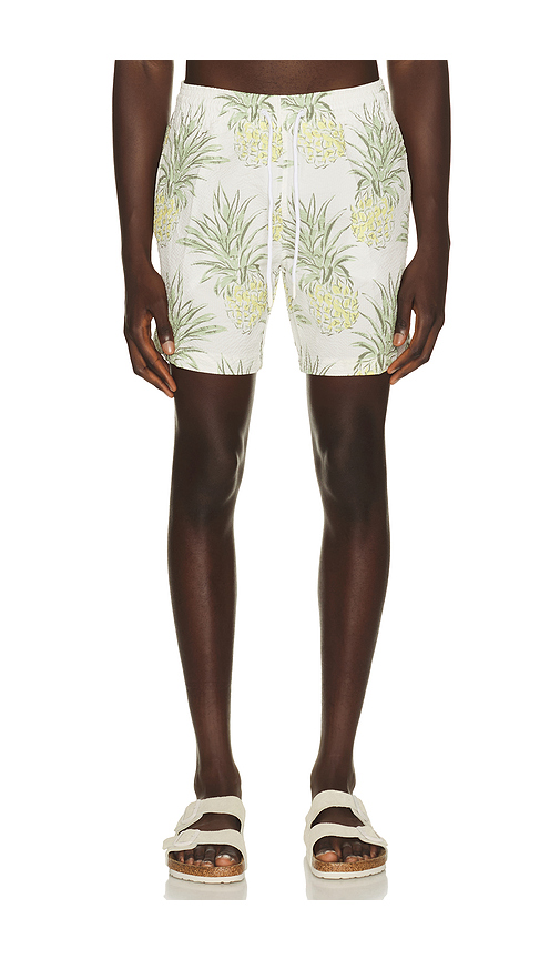 Trunks Surf & Swim Co. Sano 6.5 Swim Short in Green,White. L. Also in M, S, XL/1X