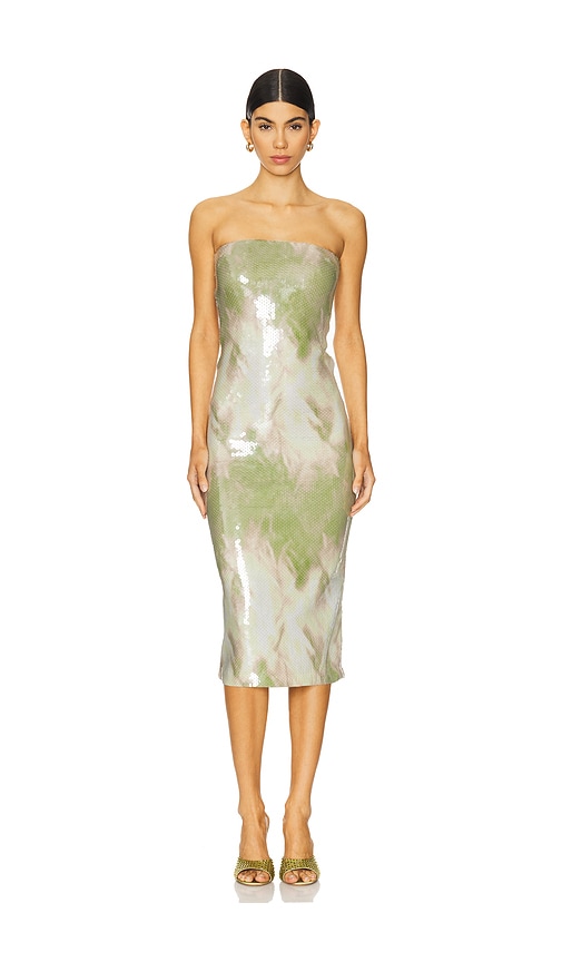 Camila Coelho Alandra Midi Dress in Green & Beige. L also in S