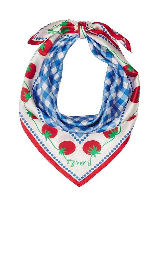 Rails x Giadzy Cosima Scarf in Blue, white, red