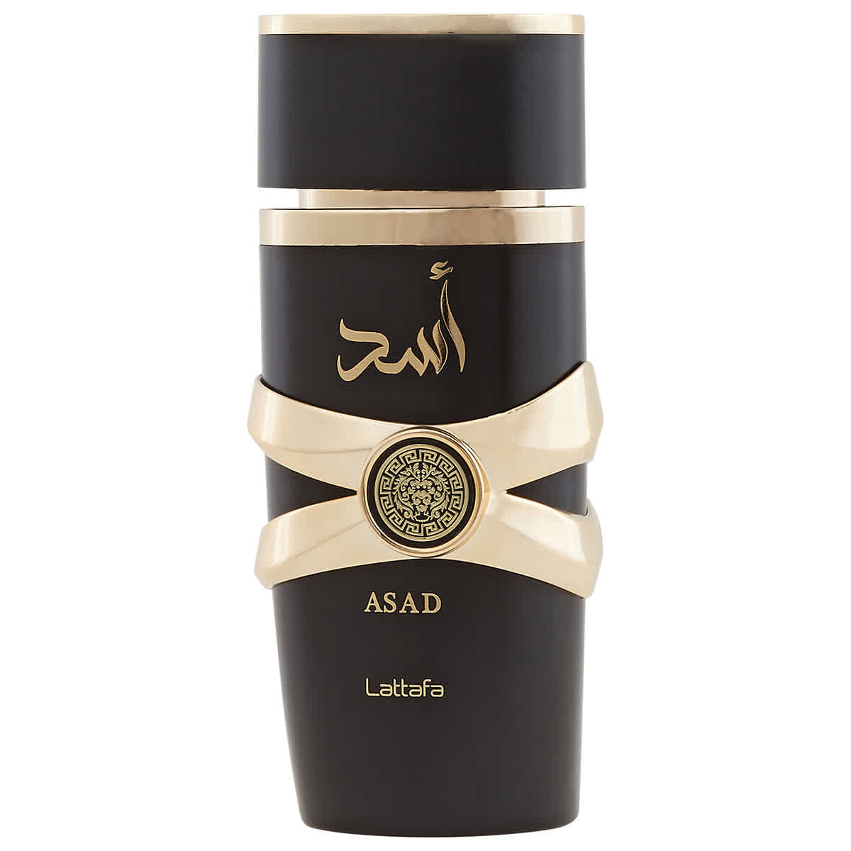 Mens Asad EDP Spray 3.4 oz Fragrances 6291108735411