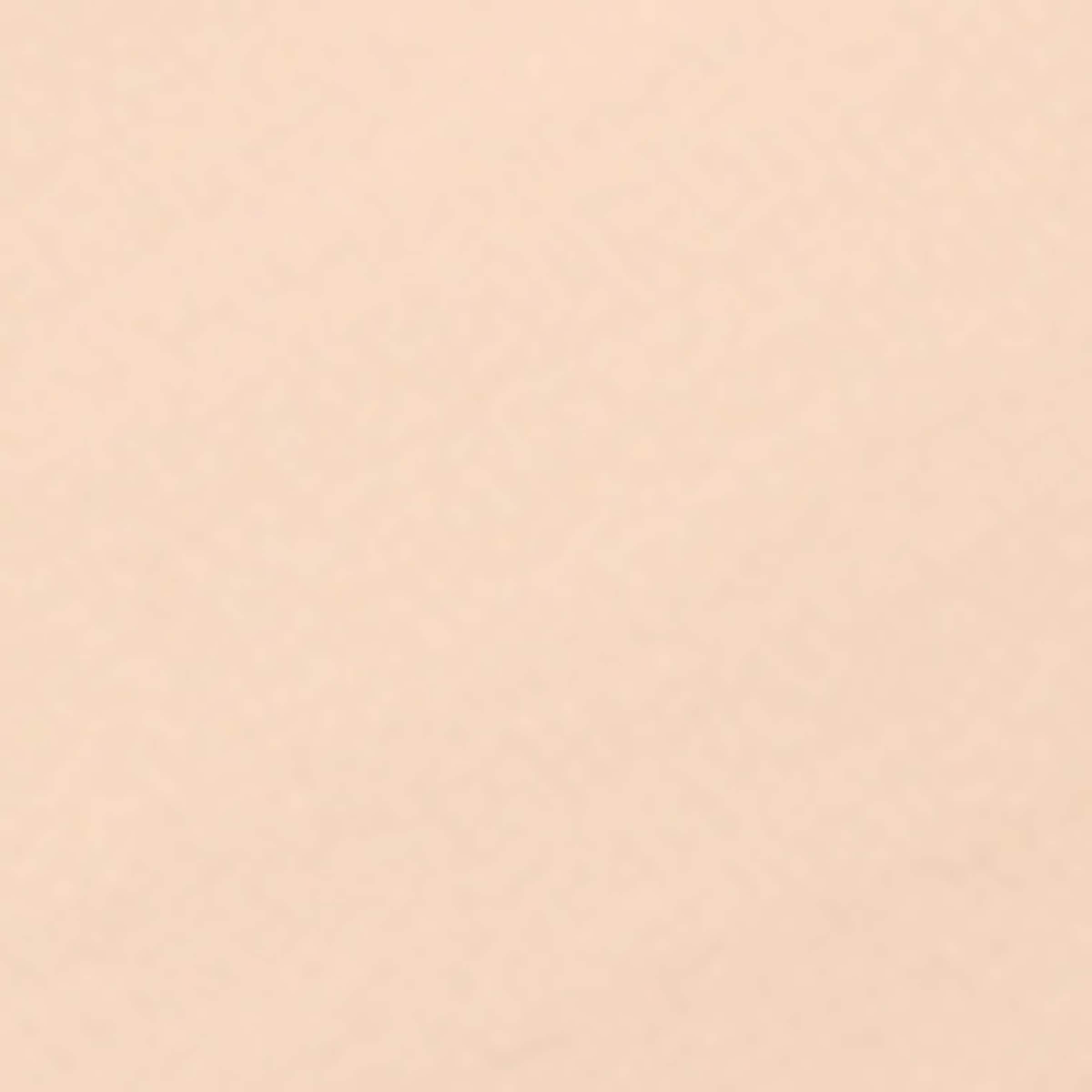 샹테카이 여성 Future Skin Cushion Skincare Foundation 000000000006702936