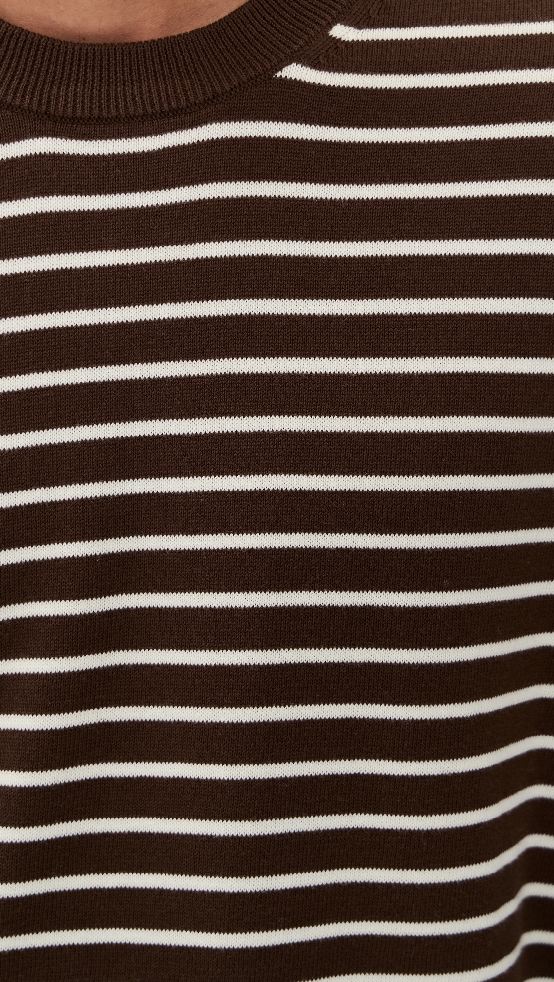 Core Cotton Long Sleeve Crew Sweater Dark Mocha Stripe