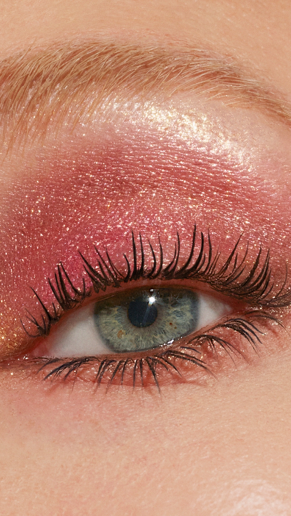 Wild Star Pressed Pigment Palette Multi One Size