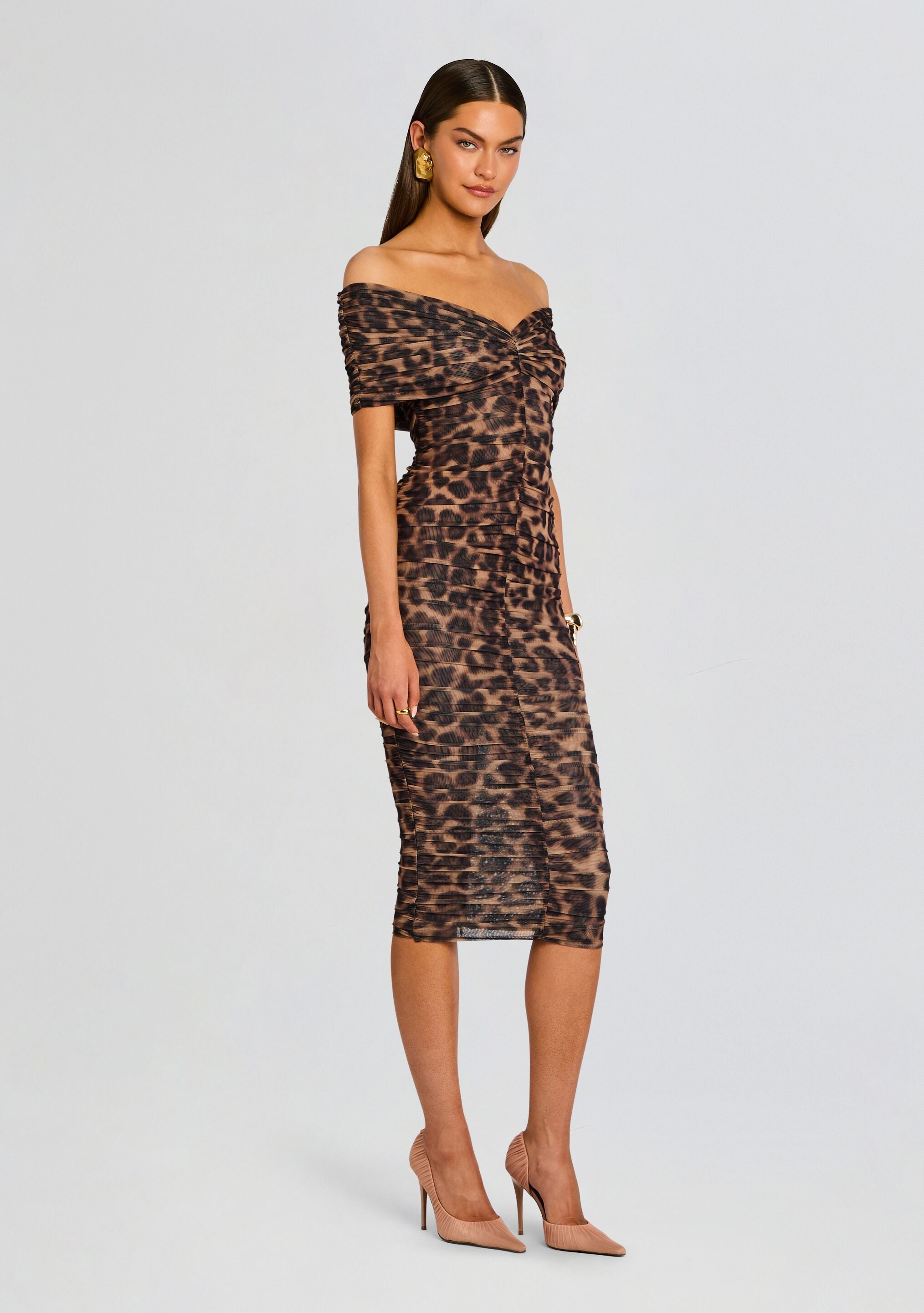 Gianina Mesh Midi Dress